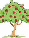 Image result for A Picture of an Apple Tree