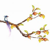 Image result for Birds On Branches That Are Verticle