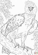 Image result for Harpy Eagle Coloring Page