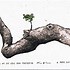 Image result for Tree Branch Pencil Drawing