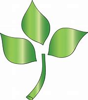 Image result for Tree Branch Icon