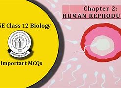 Image result for 12 Human Body Systems