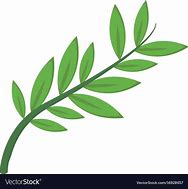 Image result for Olive Branch Symbolism