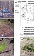 Image result for Annual Ground Cover Plants