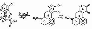 Image result for Chemical Reagent