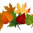 Image result for Fall Leaves Vector Free