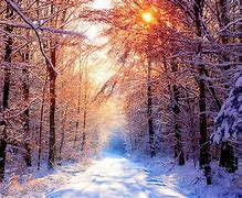 Image result for Free Winter Desktop