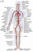 Image result for Ai Generated Human Body