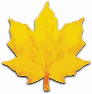 Image result for Maple Tree Copyright Free Image Vector