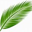 Image result for Free Printable Palm Leaf Template