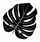 Image result for Leaf Silhouette Black and White