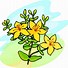 Image result for Microsoft Free Clip Art Flowers