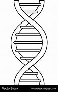 Image result for Drawing of DNA Strand