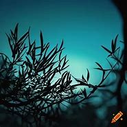 Image result for Olive Tree Branches Symbolism