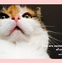 Image result for Pastel Aesthetic Desktop Wallpaper