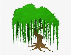 Image result for Weeping Willow Clip Art