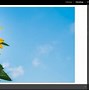 Image result for Fine Art Photography Ideas