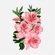 Image result for Flowers Drawing with Brown Background