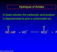 Image result for Hydrolysis of Amide