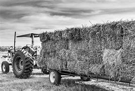 Image result for Hay Tractor Lake District