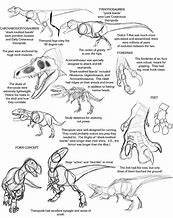 Image result for Dinosaur Anatomy