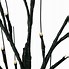 Image result for Black Halloween Tree with Lights