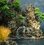 Image result for Bonsai Landscape