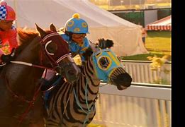 Image result for Racing Stripes Mailman