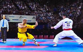 Image result for Kung Fu Karate