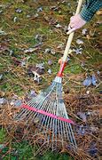 Image result for Raking Fall Leaves