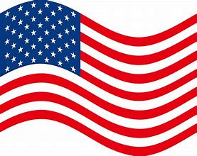 Image result for American Flag Icon