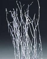 Image result for Dried Birch Twigs