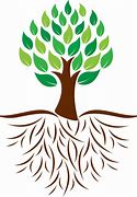 Image result for Clip Art of Roots