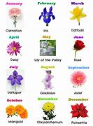 Image result for Ziavia Birth Month Flower