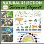 Image result for Natural Selection Clip Art