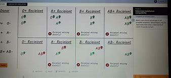 Image result for Blood Typing Worksheet.pdf