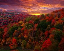 Image result for Amazing Autumn