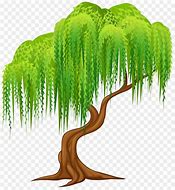 Image result for Willow Tree Clip Art