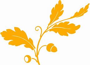 Image result for Transparent Oak Leaf Silhouette