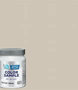 Image result for lowe's paint color samples