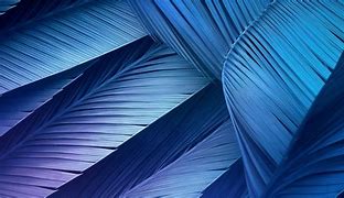 Image result for Palm Tree Leaf Print