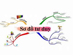 Image result for Maẫu Vẽ Sơ Đồ Tư Duy