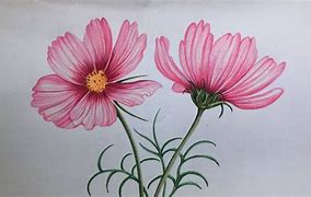 Image result for Flower Pencil Art