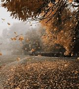 Image result for Animated Fall Leaf