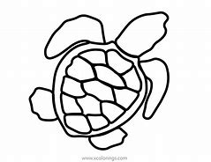 Image result for Baby Sea Turtle Coloring Page