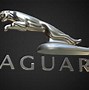 Image result for Jaguar Logo 3D