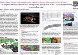 Image result for Scientific Poster Chart