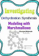 Image result for Dehydration Synthesis of Carbohydrates