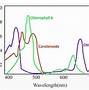 Image result for Light Affecting Photosynthesis