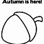 Image result for Acorn Tree Coloring Page